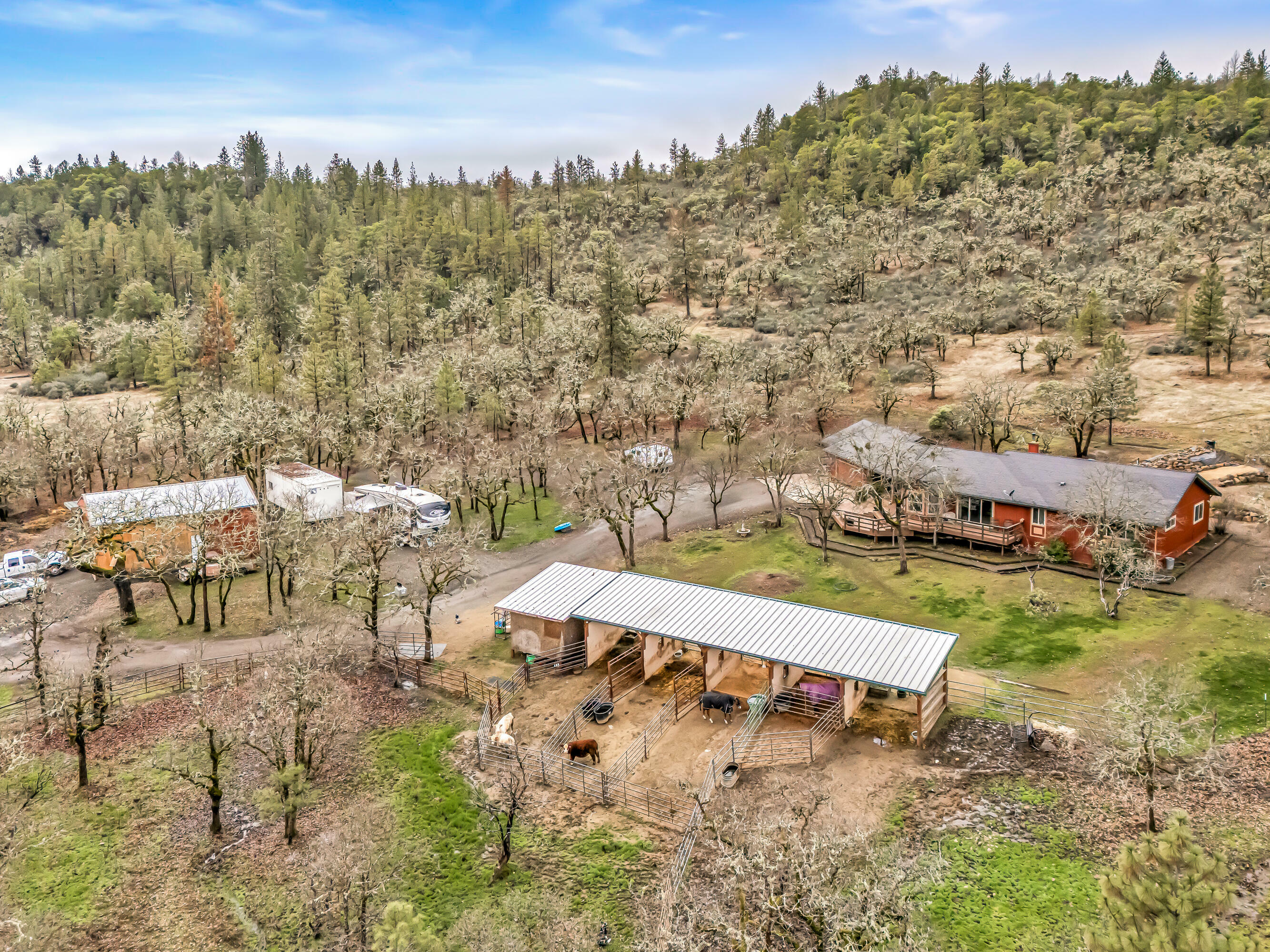 Property Photo:  3941 Rogue River Drive  OR 97524 