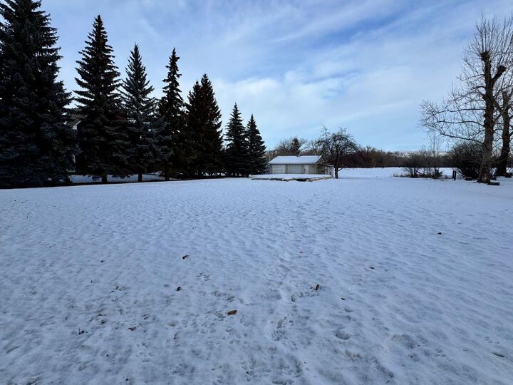 170 9 Street NW  Drumheller AB T0J 0Y1 photo