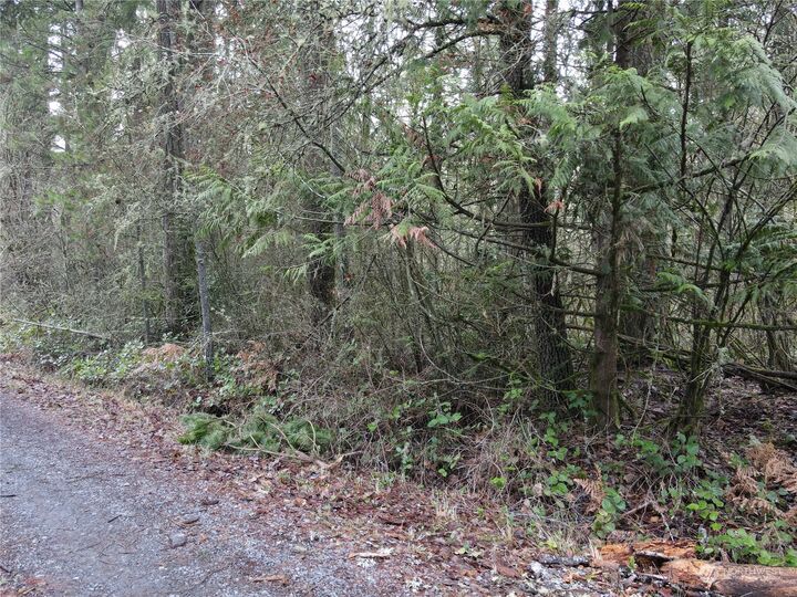 Property Photo:  0  Pine Tree Road  WA 98591 