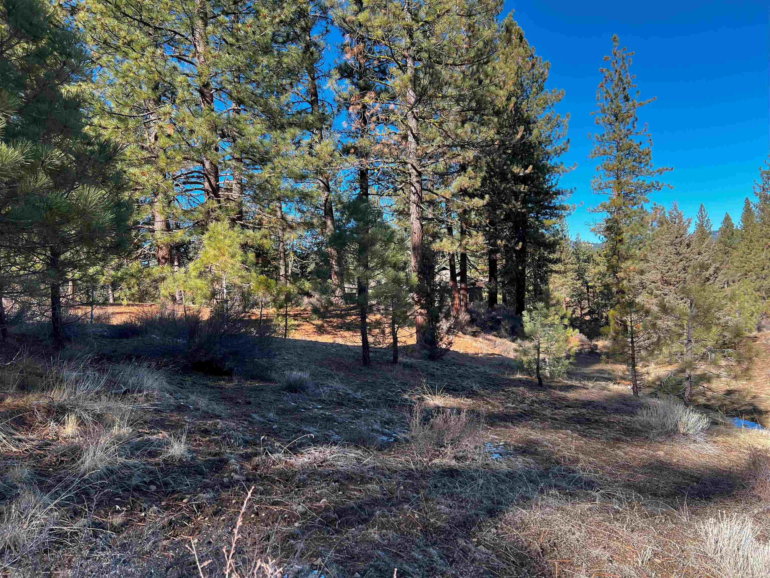 450 Emerald Point  Portola CA 96122 photo
