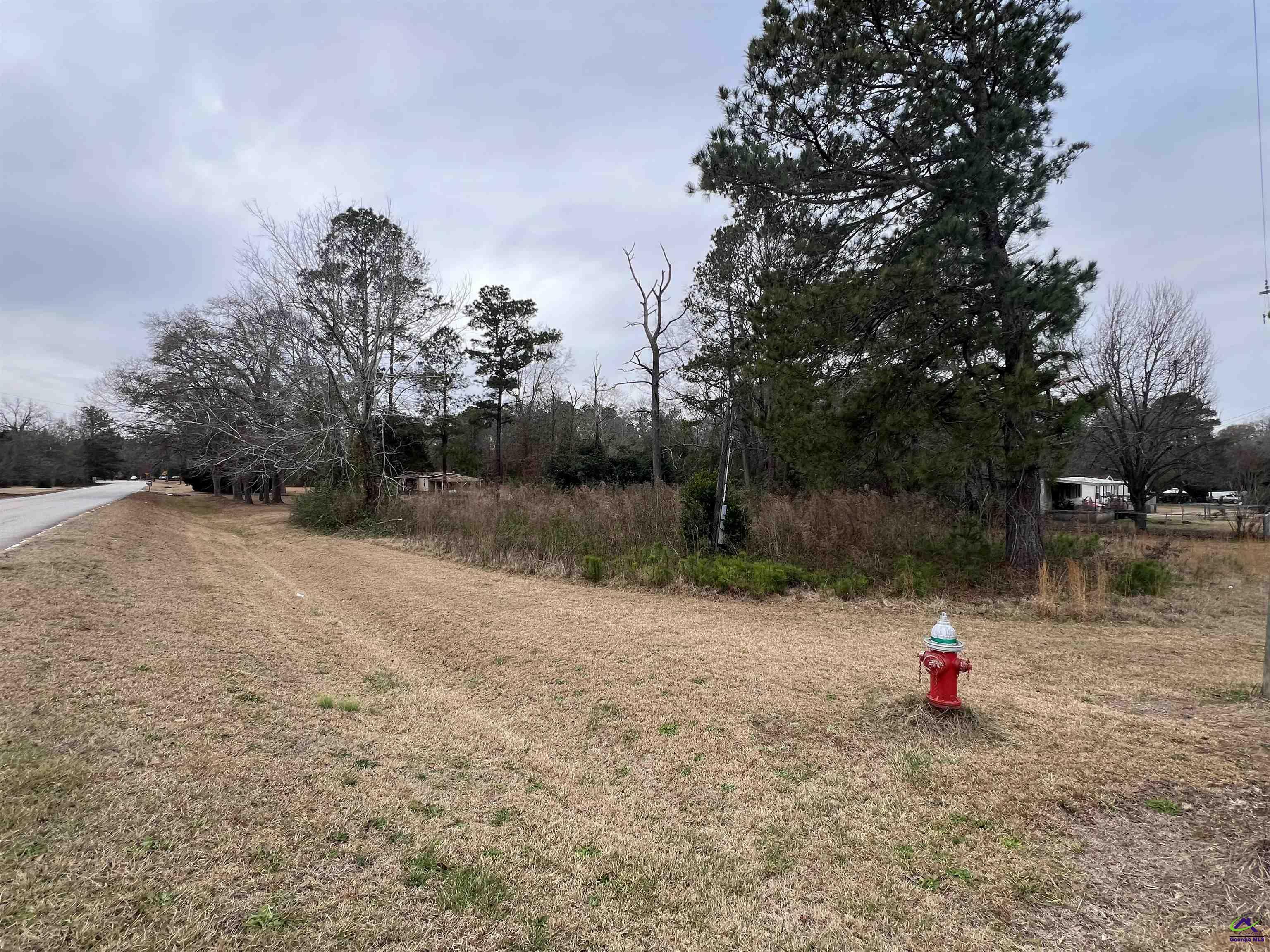 Property Photo: 101 Little Farm Lane GA 31047