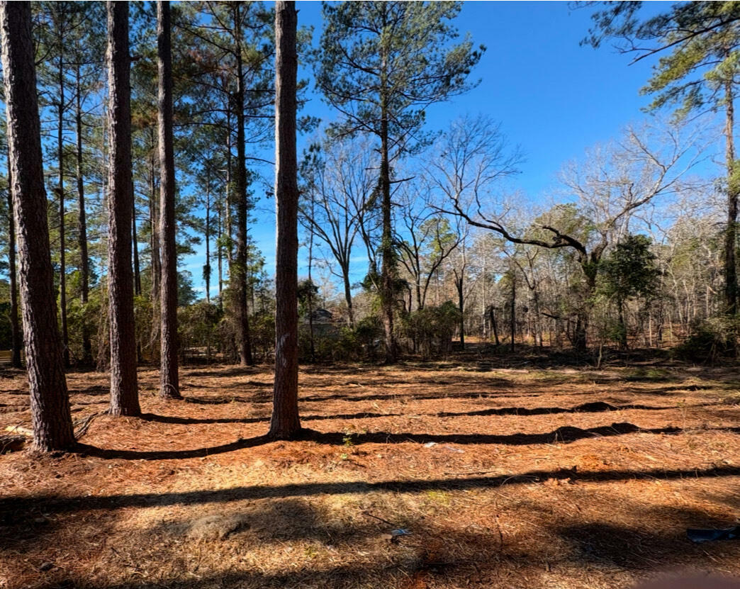 Property Photo:  1030 Deer Trail Road  SC 29142 