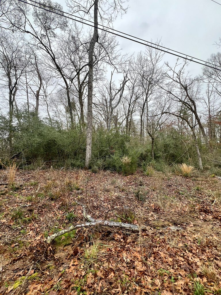 Property Photo:  R16068 Bates Road  TX 75901 