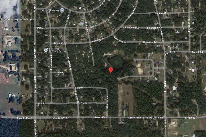 Tbd Redbud Road  Lady Lake FL 32159 photo