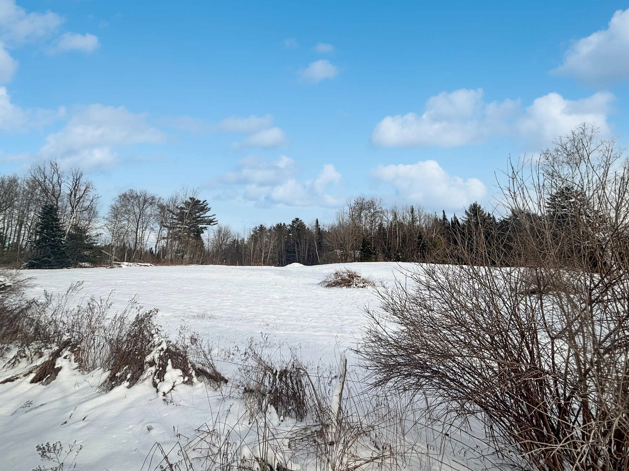 Property Photo: 190 Lancaster Road NH 03598