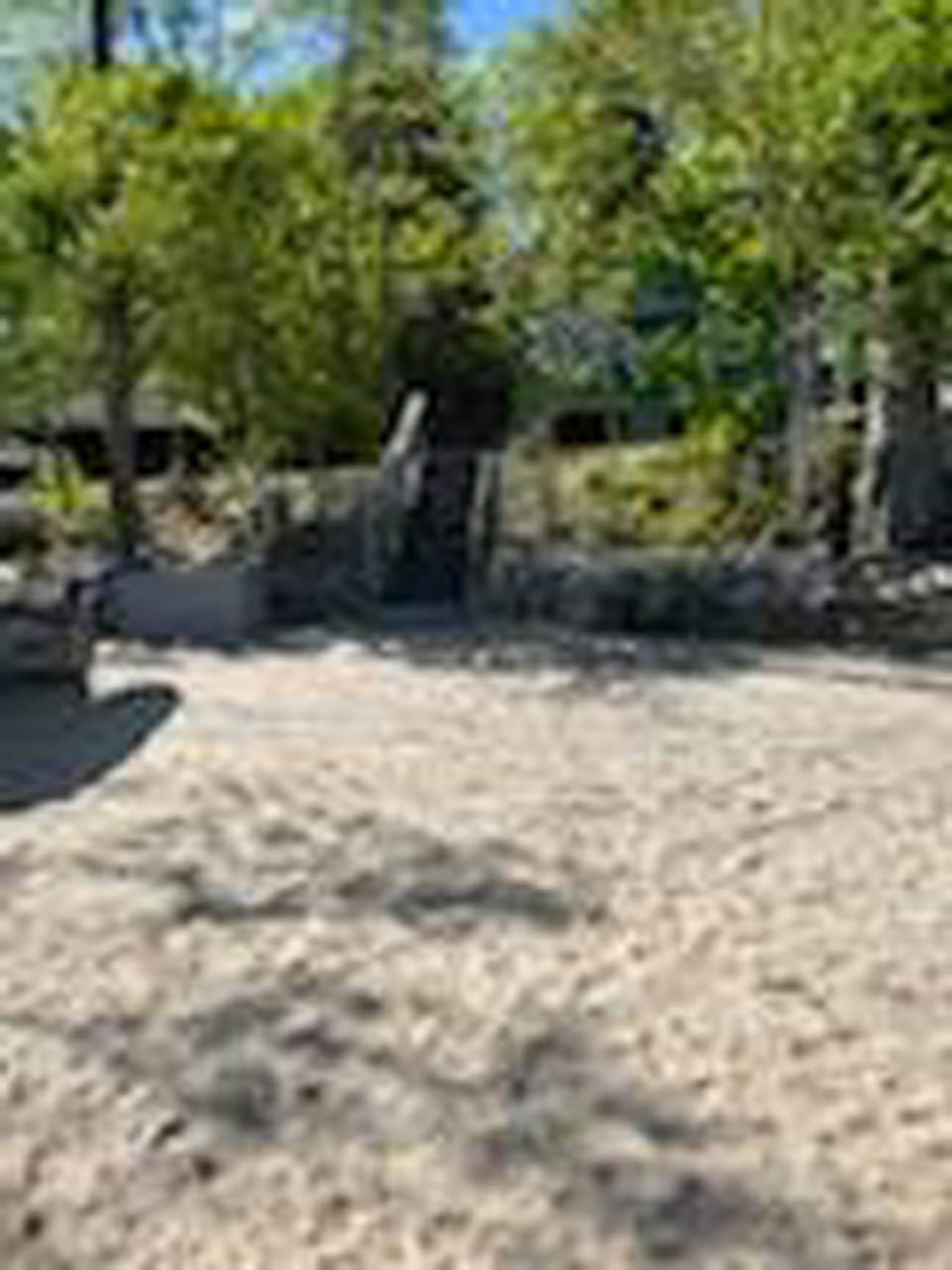 Property Photo: 155 Whittemore Point Road NH 03222