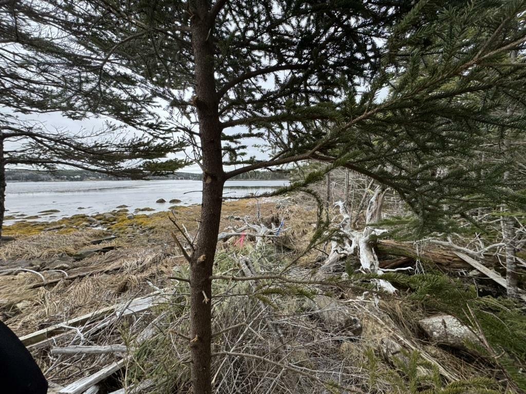 Photo de la propriété:  Lot 4-C West Petpeswick Road  NS B0J 2L0 