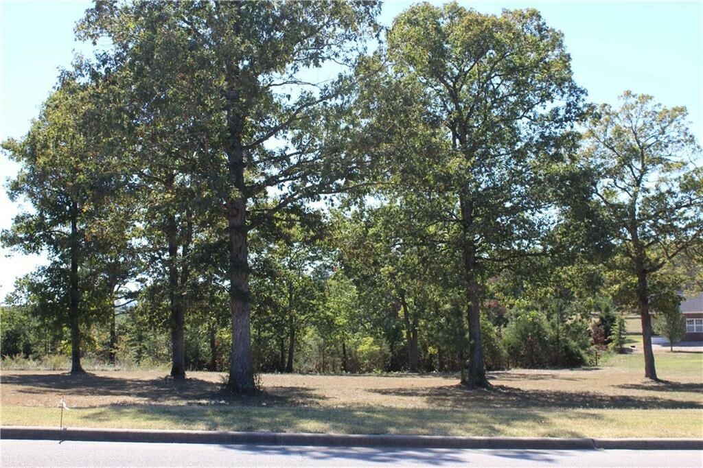 Property Photo:  34 Park Drive  AR 72631 