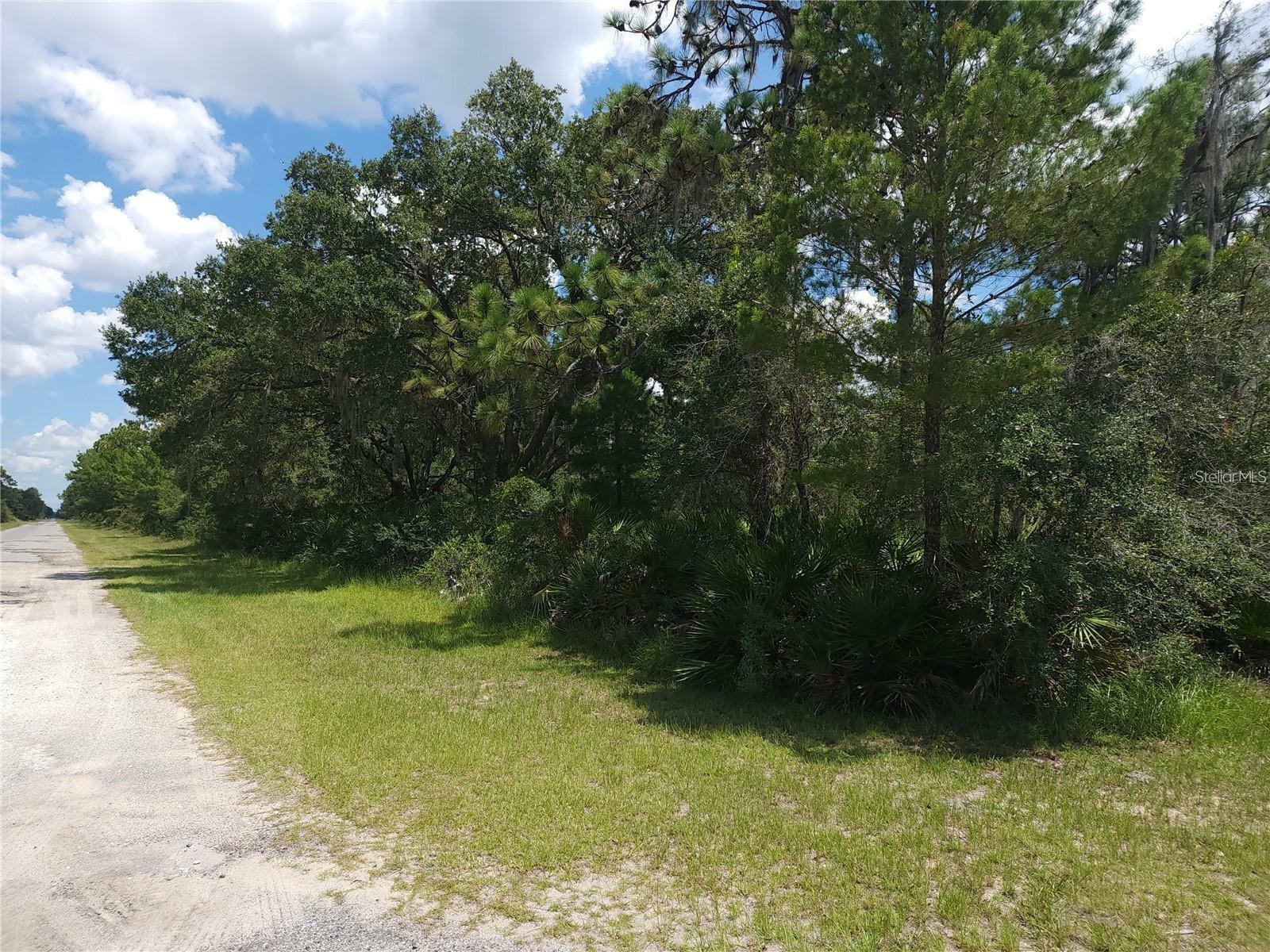 Property Photo:  Oleander Drive  FL 33855 