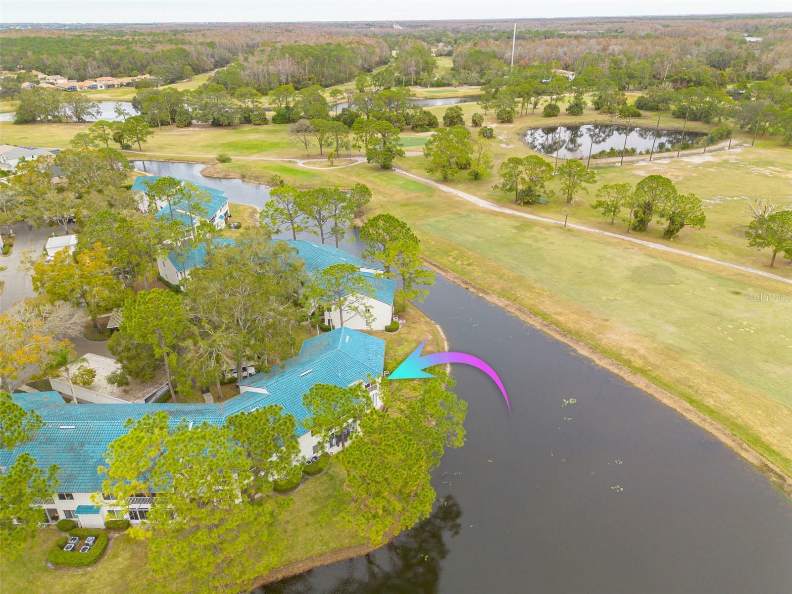 Property Photo:  3609 Indigo Pond Drive  FL 34685 