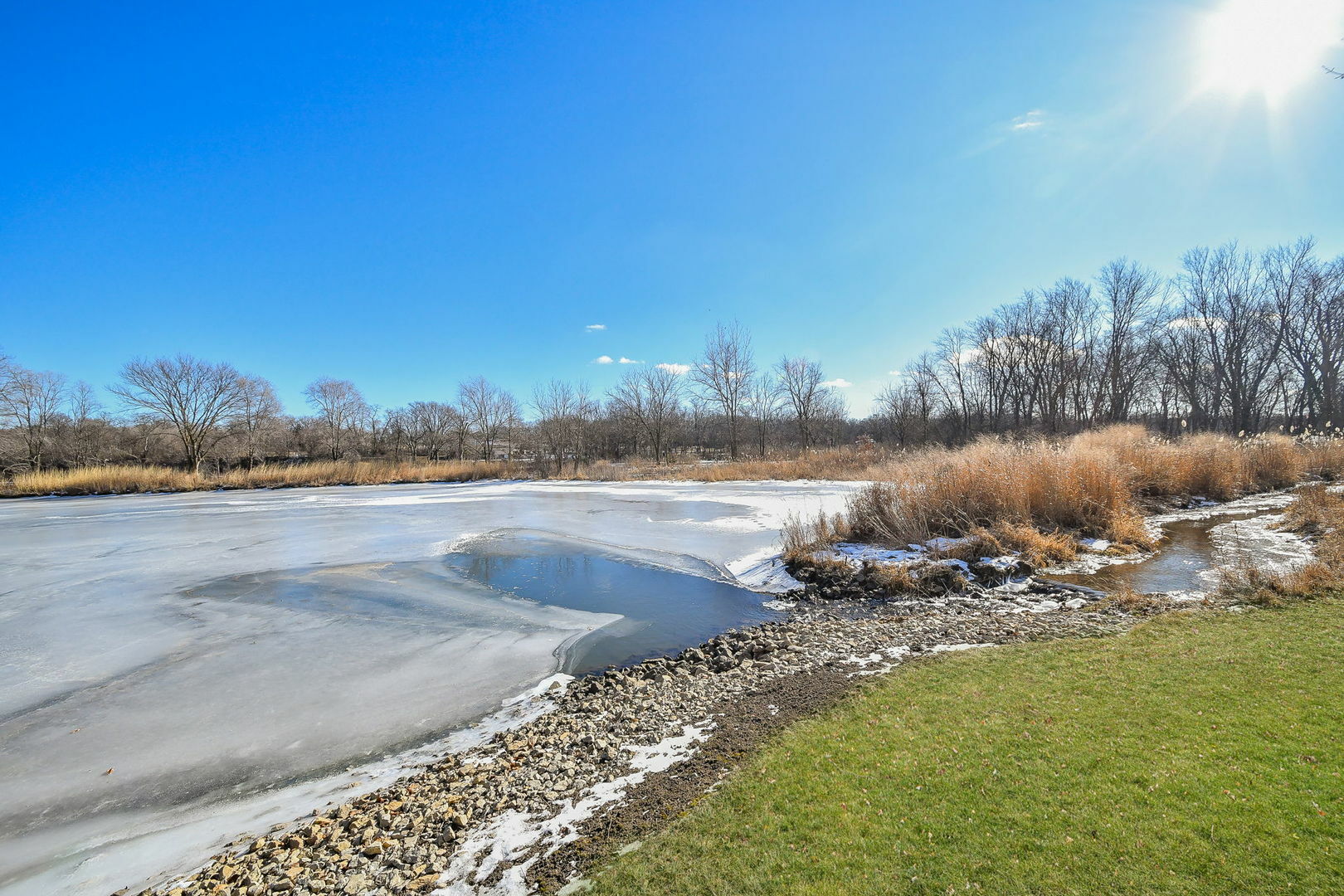 Property Photo:  130 River Mist Drive  IL 60543 