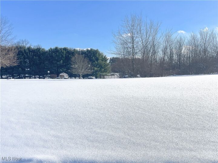 Property Photo:  49587 Foxwood Lane  OH 44413 