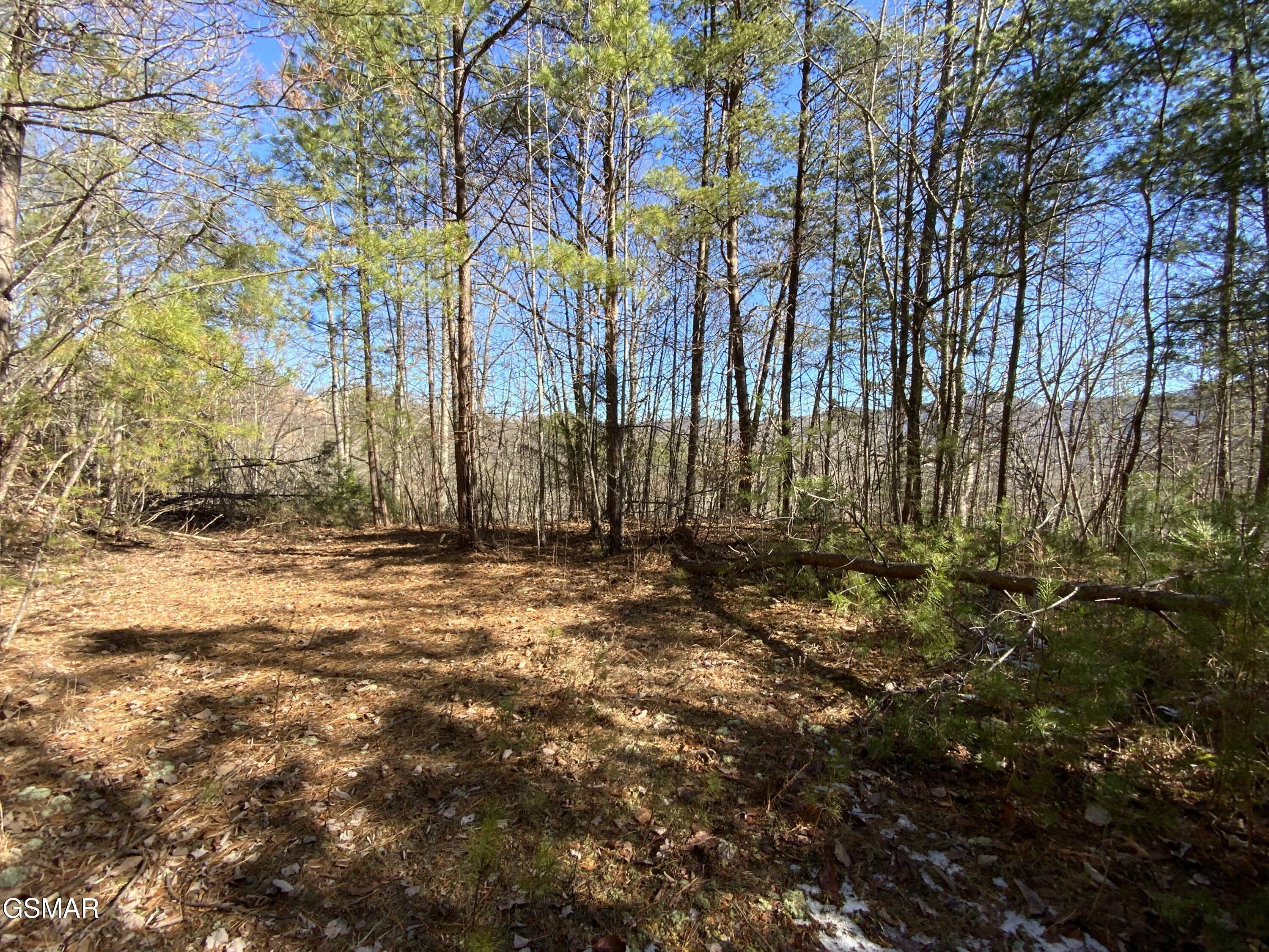 Property Photo:  Lot 7-R Hatcher Mountain Road  TN 37862 