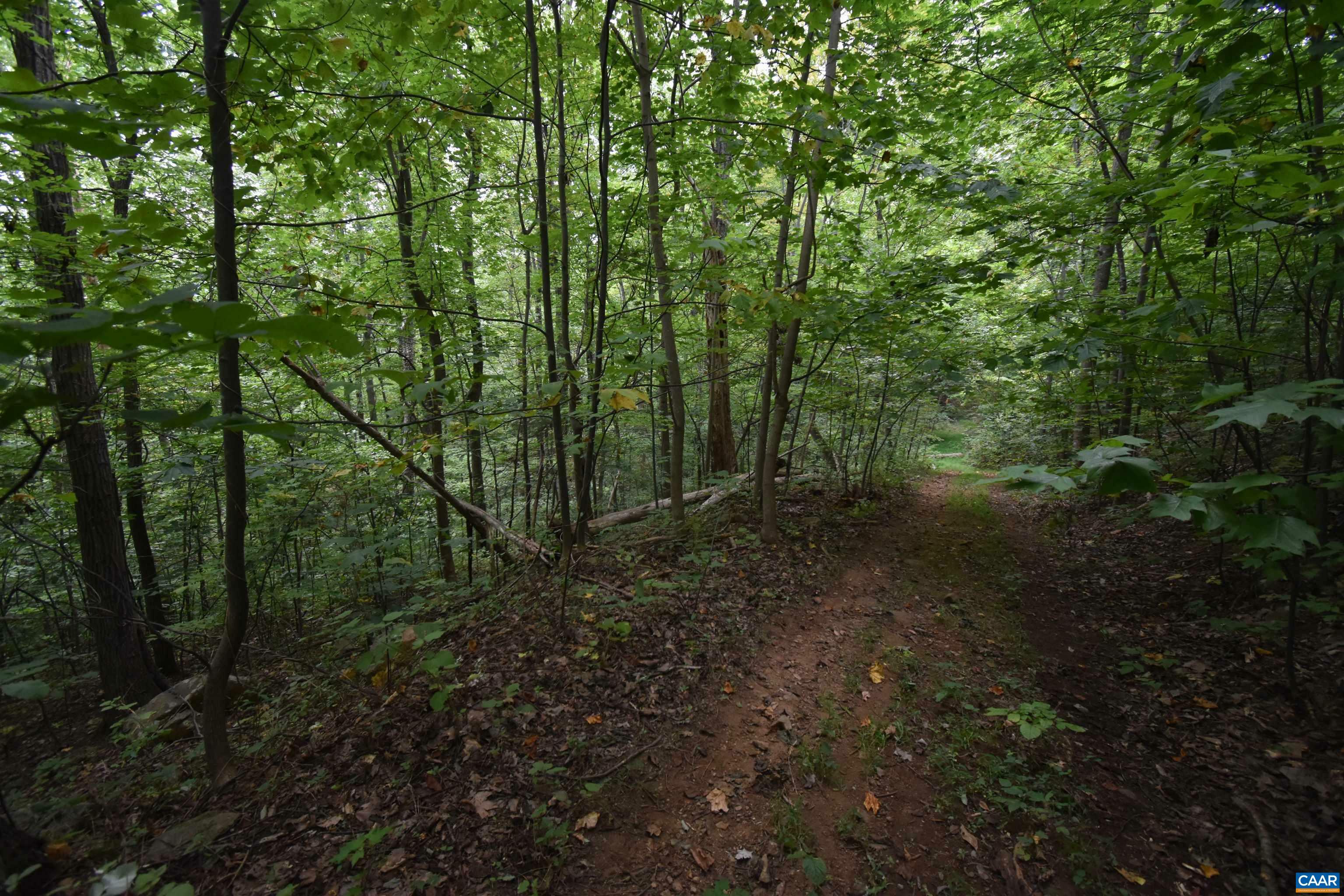 Property Photo:  12 Old Mountain Rd  VA 22973 