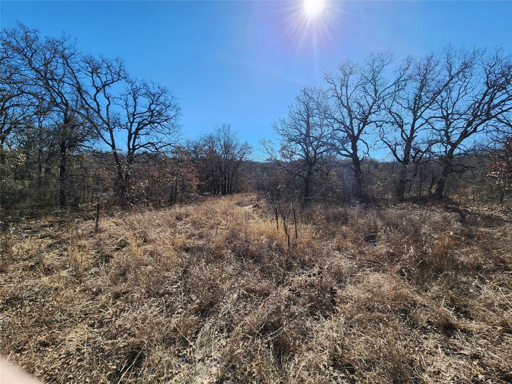 Property Photo:  925 Three Skillet Road  TX 76082 