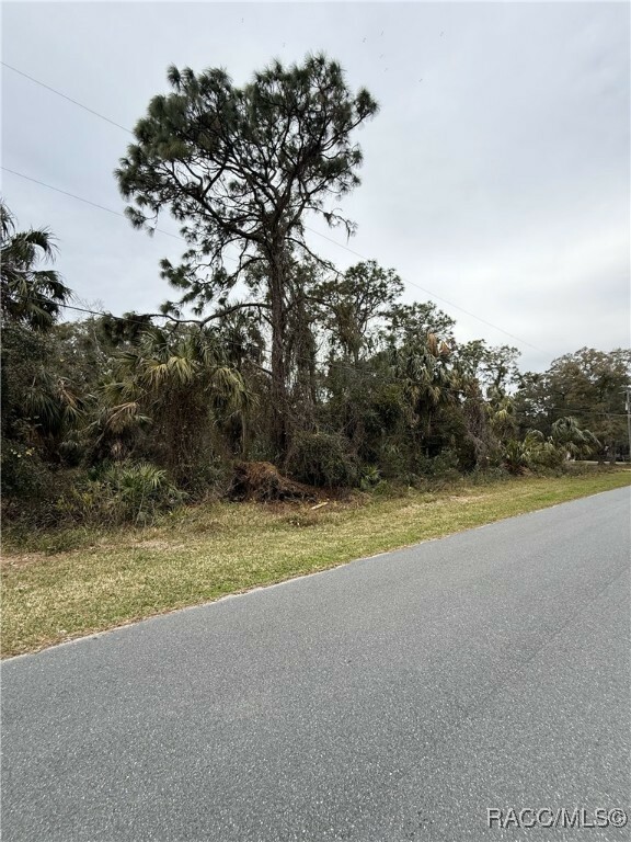 9942 W Hawthorne Street  Crystal River FL 34428 photo