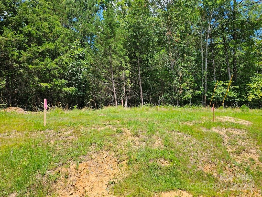 Property Photo:  0000 Sturgis Road  SC 29730 