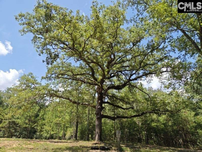 Property Photo:  833 Edisto Lake  SC 29164 