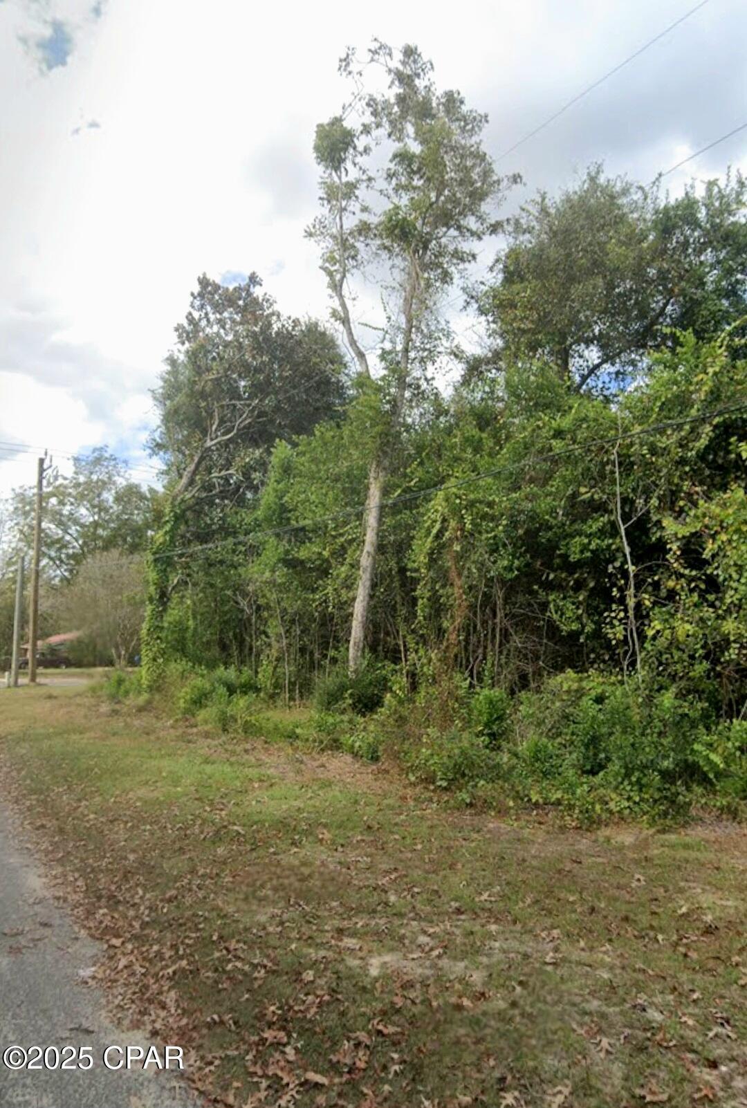 Property Photo:  1/2 Lot 75 Pecan Street  FL 32428 