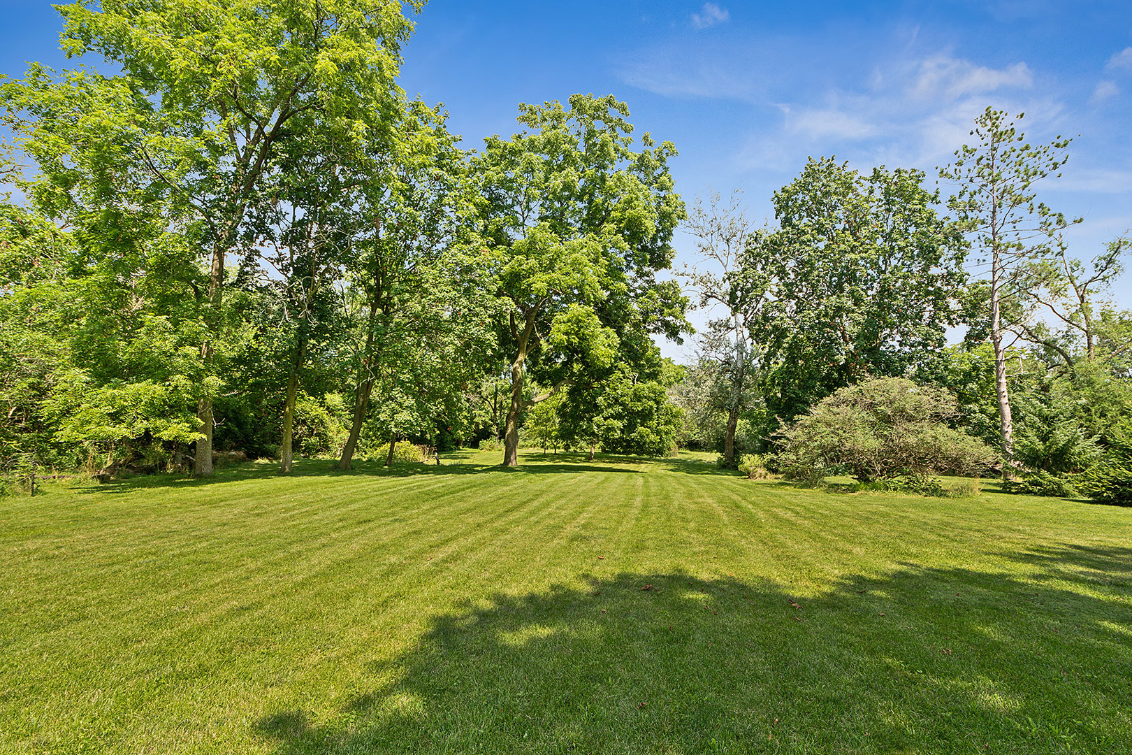 Property Photo:  7755 Wolf Road  IL 60525 