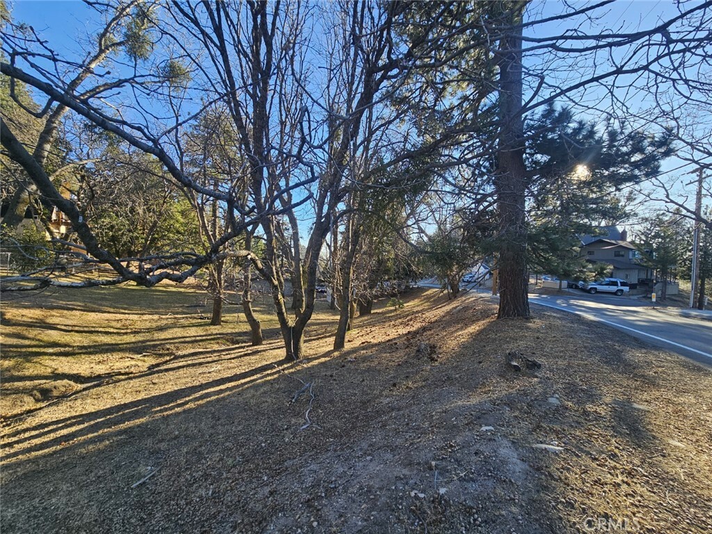 Property Photo: 0 Live Oak Drive CA 92382