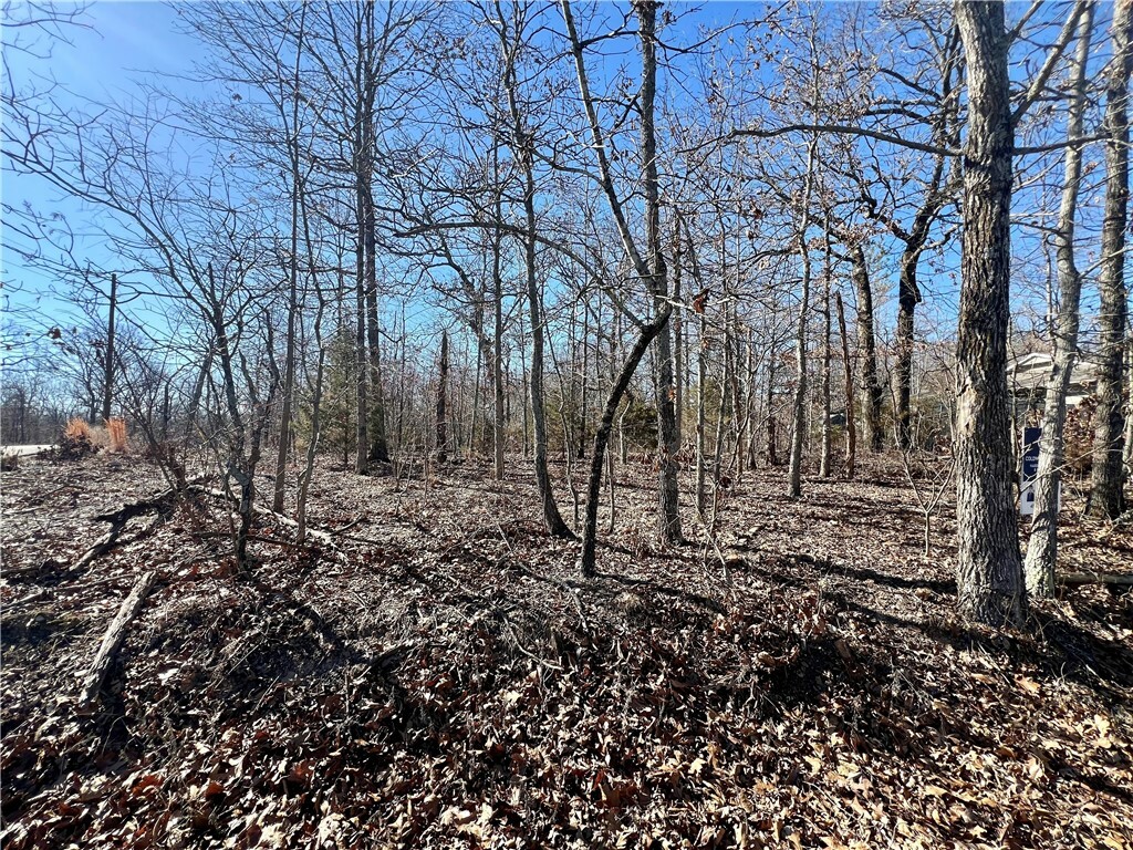 Property Photo:  Tbd- Lot 8 Roxburgh Drive  AR 72715 