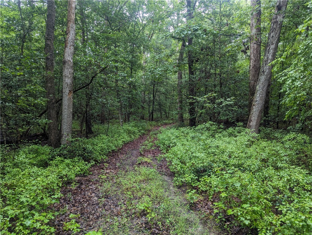Property Photo: 0 Good Hope Road VA 23089