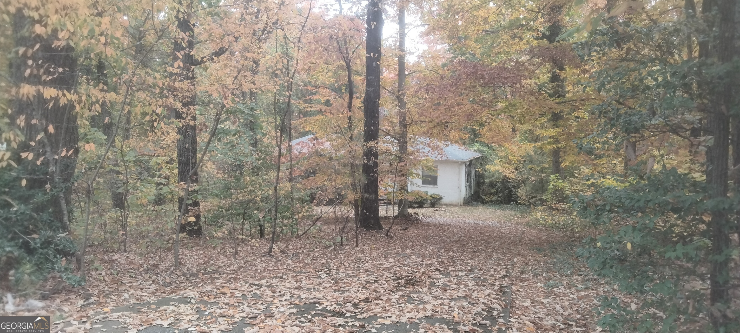 Property Photo:  251 Mount Vernon Highway NE  GA 30328 