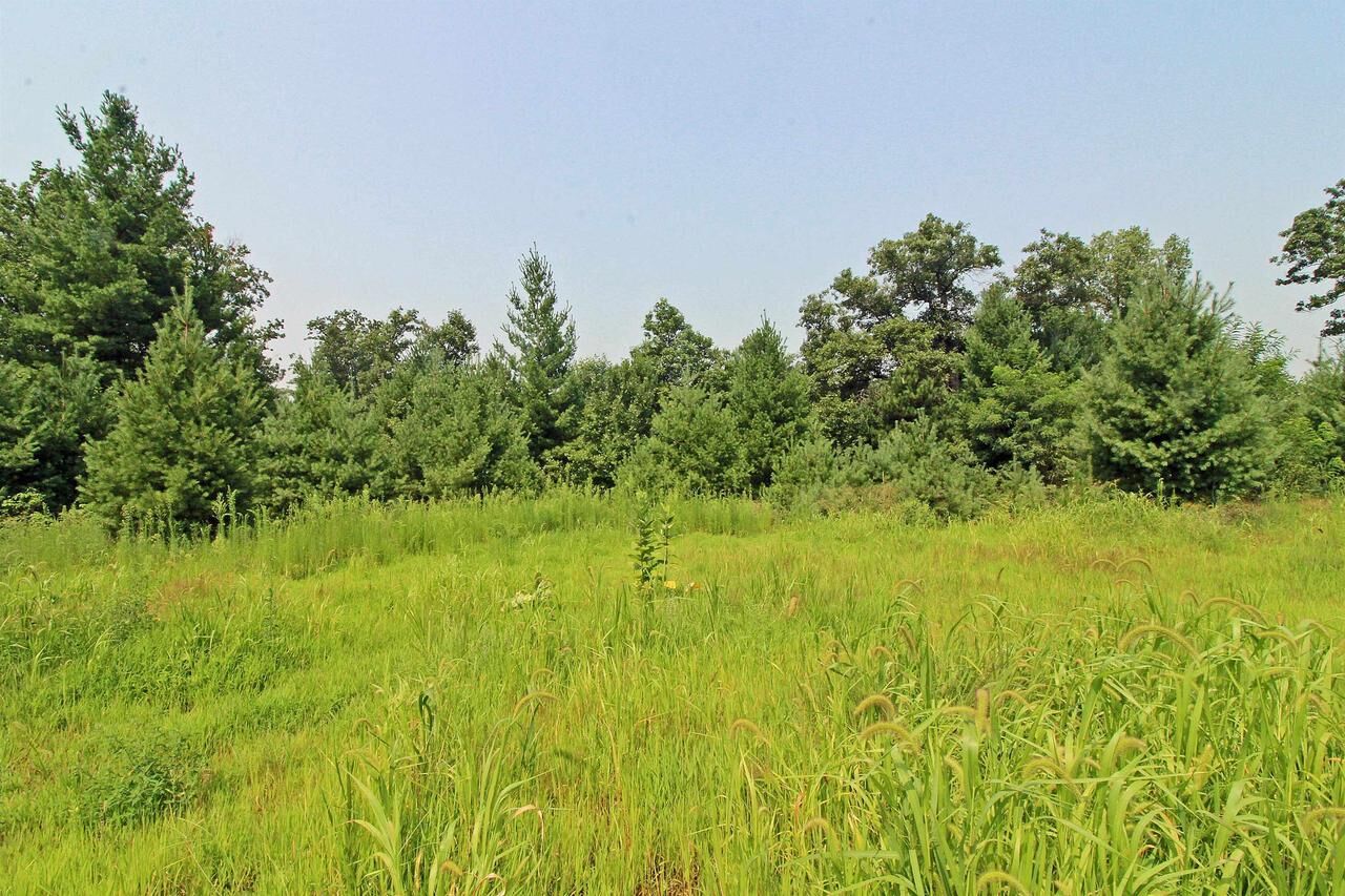 Property Photo:  Lot20 Timber Trail  WI 53588 