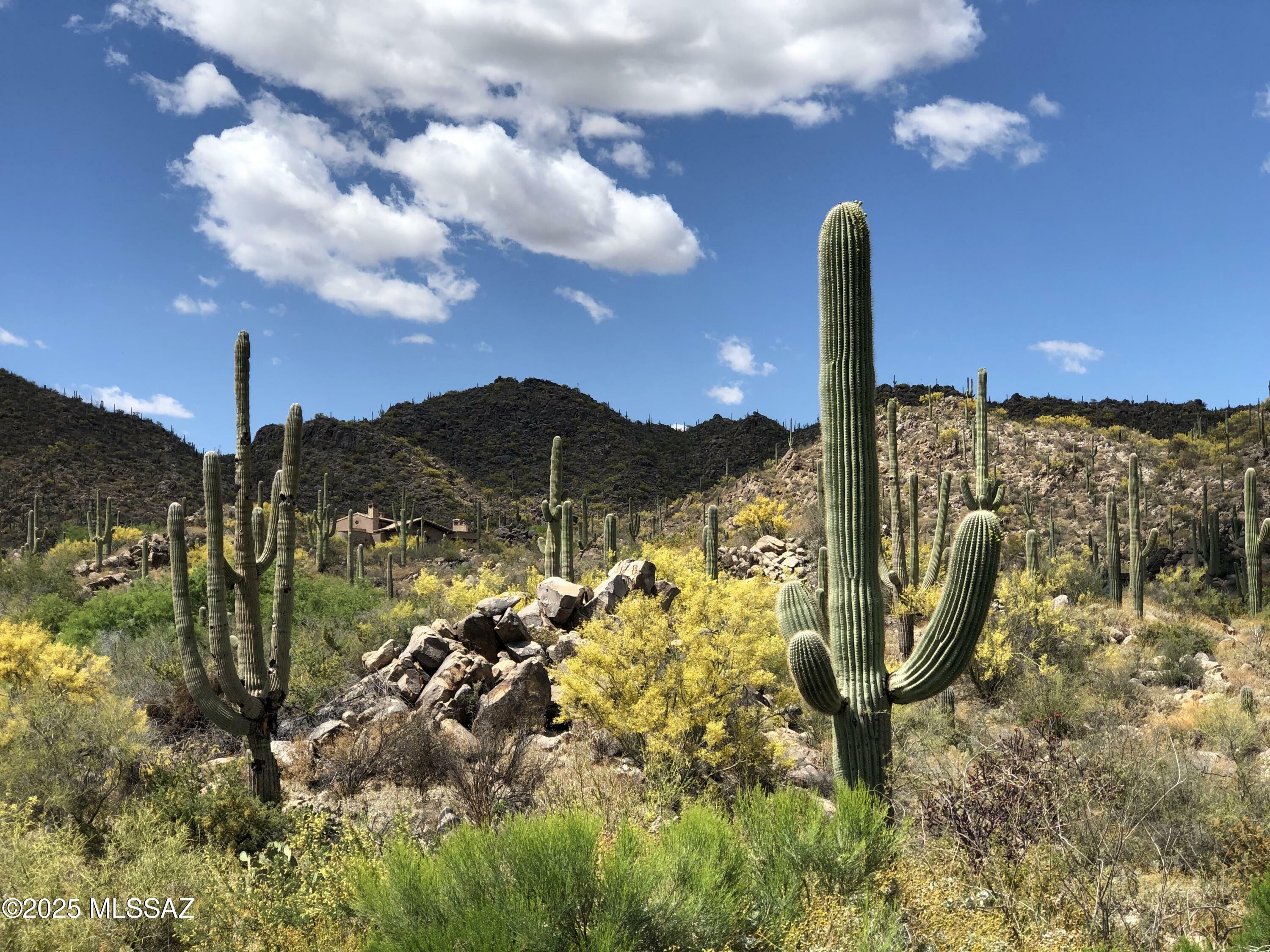 Property Photo: 1194 W Tortolita Mountain Circle 194 AZ 85755