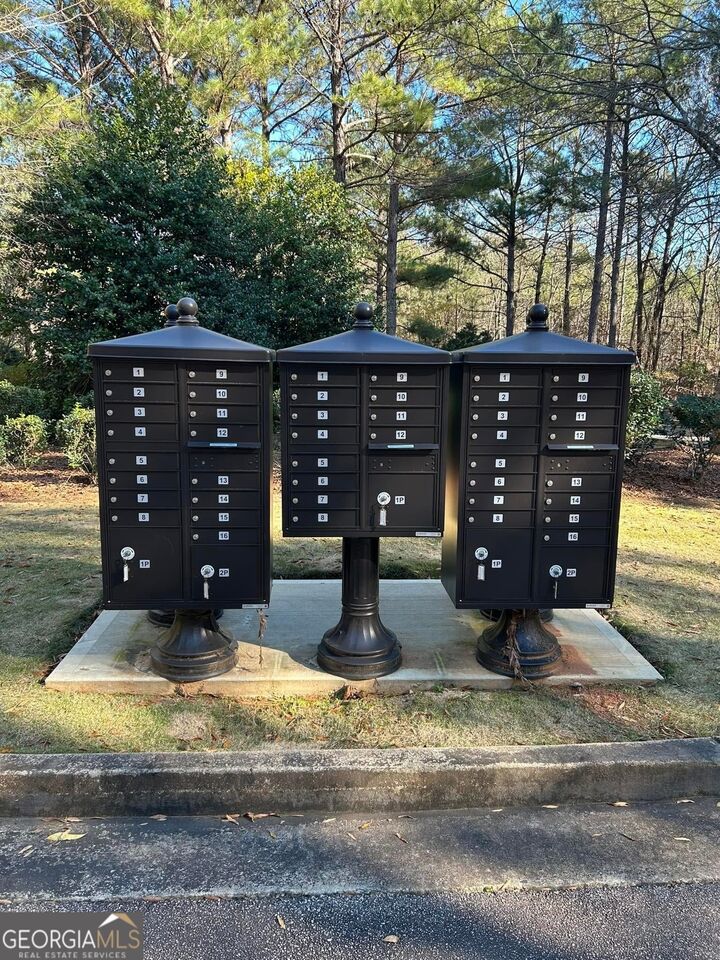 Property Photo:  105 Wolf Creek Cove  GA 30240 