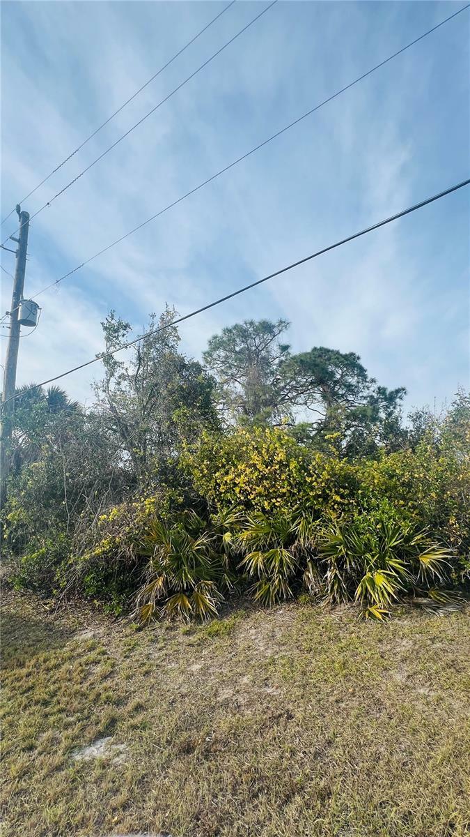 Property Photo:  128 Albatross Road  FL 33947 