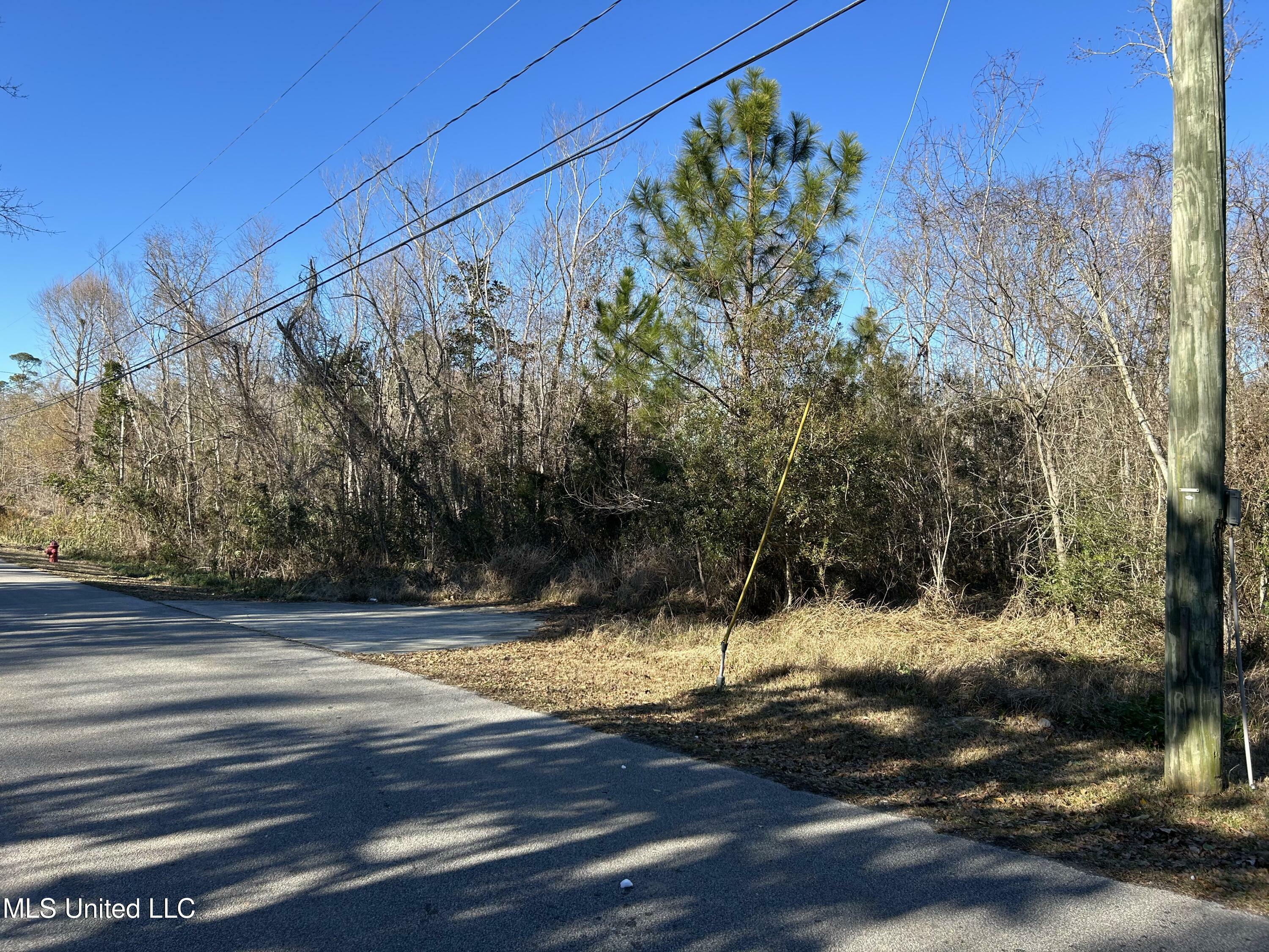 Property Photo:  236 Marcus Drive  MS 39576 