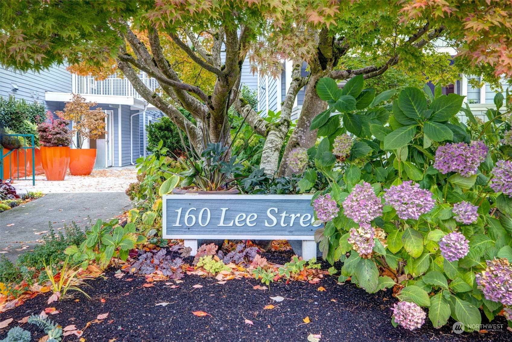 160  Lee Street 107  Seattle WA 98109 photo