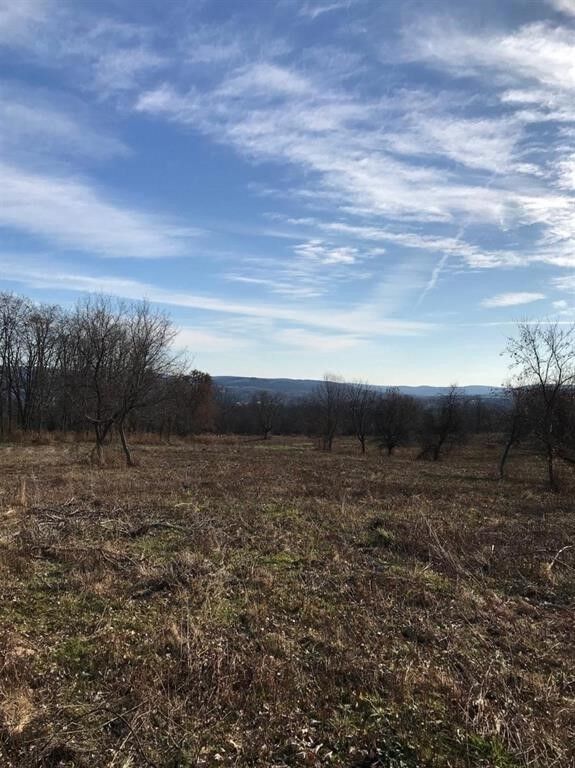 Property Photo: 0 Mecklenburg Road NY 14850