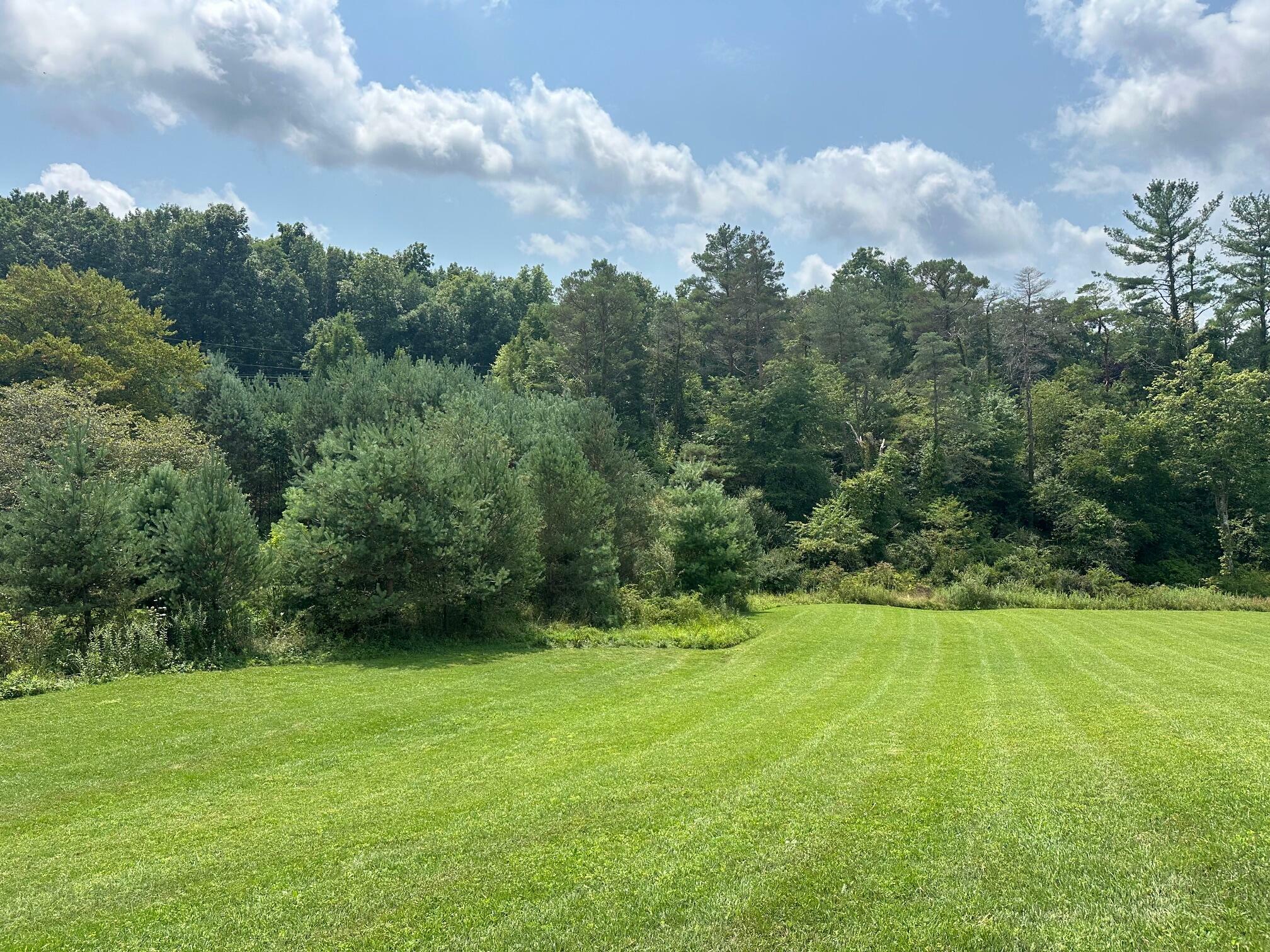 Property Photo:  Lot 1 Red Bank Hills  WV 24938 