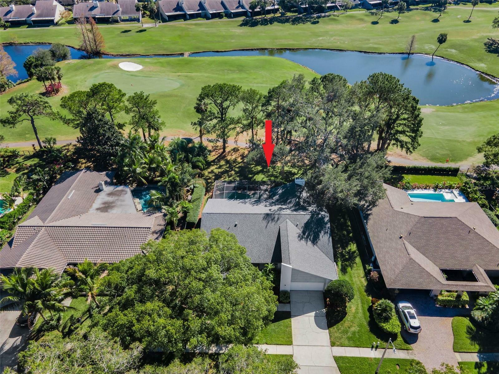 Property Photo:  3147 Hyde Park Drive  FL 33761 