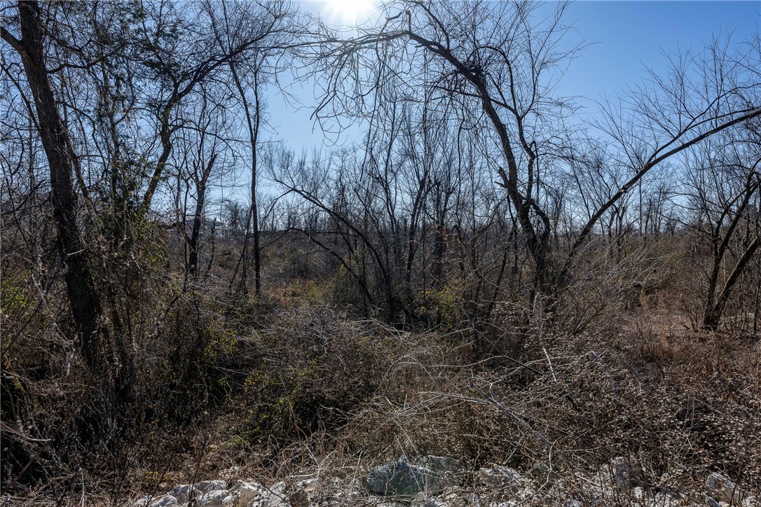 Property Photo:  Tbd - Track 3 Stillhouse Springs Road  AR 72713 