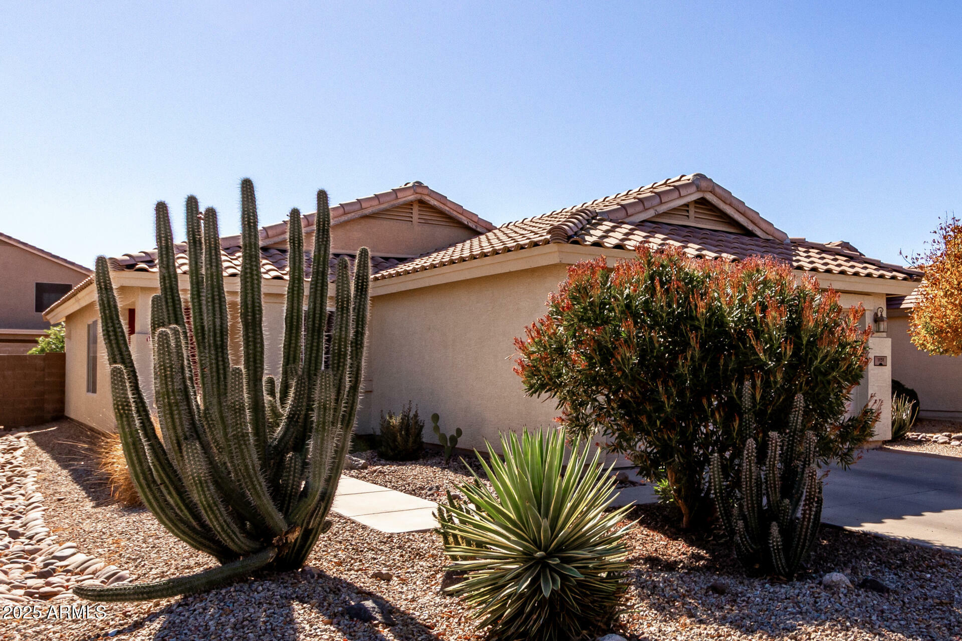 Property Photo:  1151 E Stardust Way  AZ 85143 