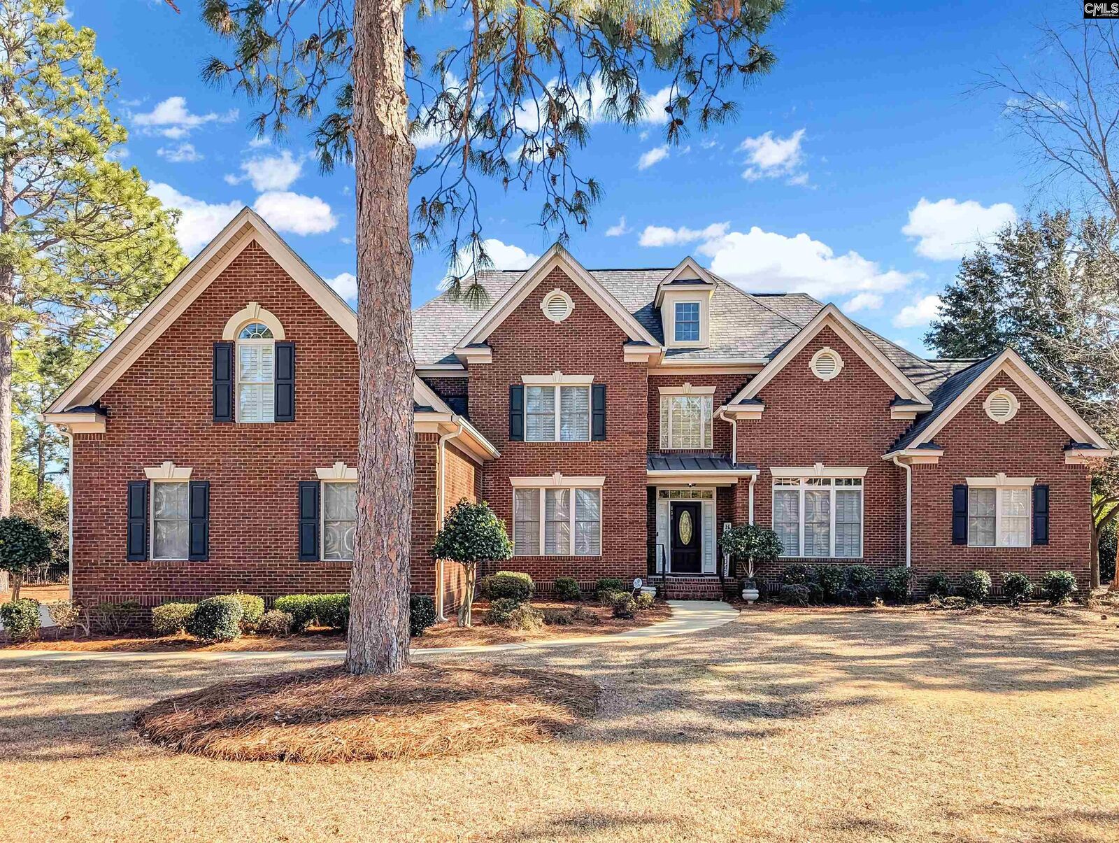 Property Photo: 111 Crestwater SC 29229