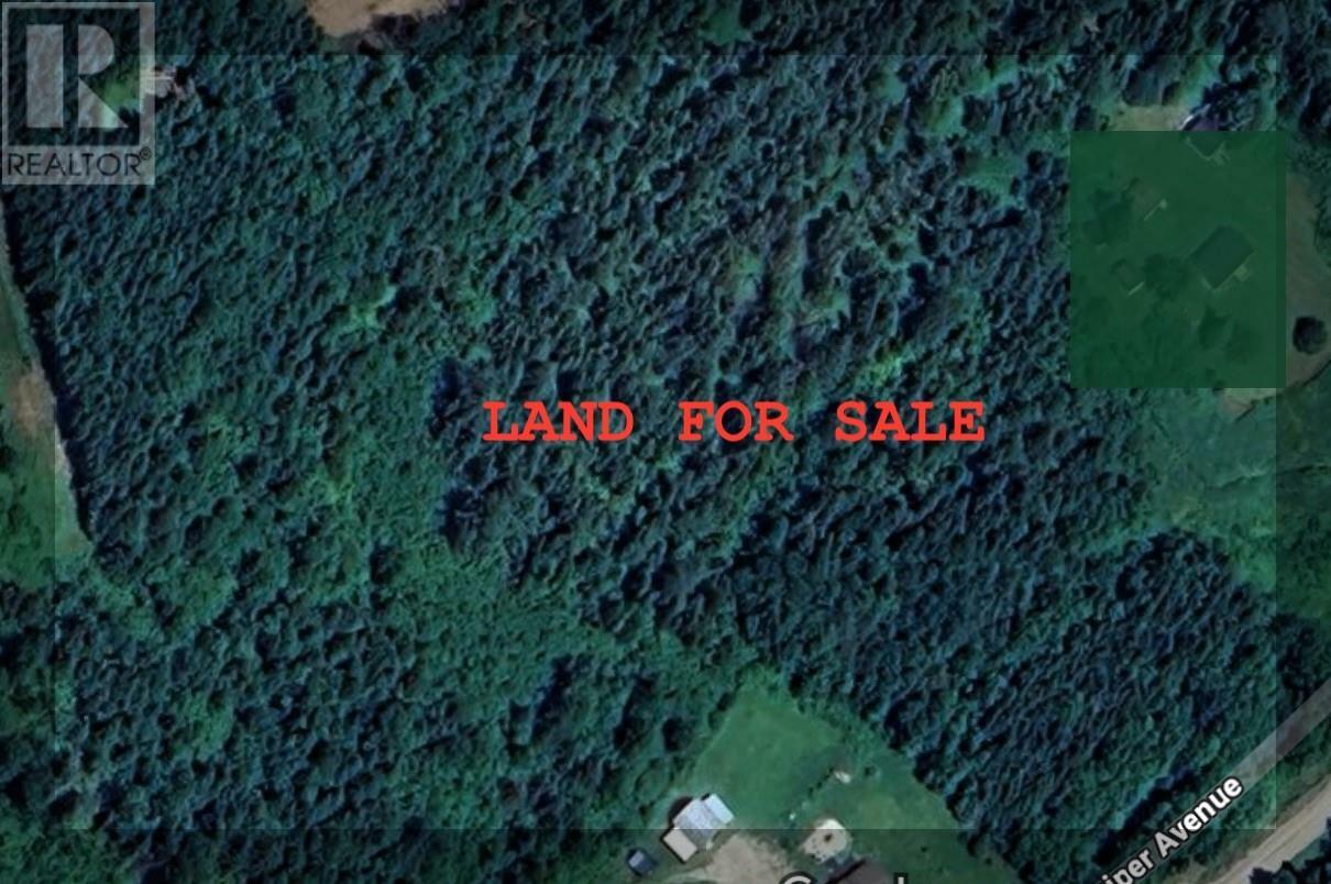 50 A Juniper Avenue  Cormack NL A8A 2M7 photo