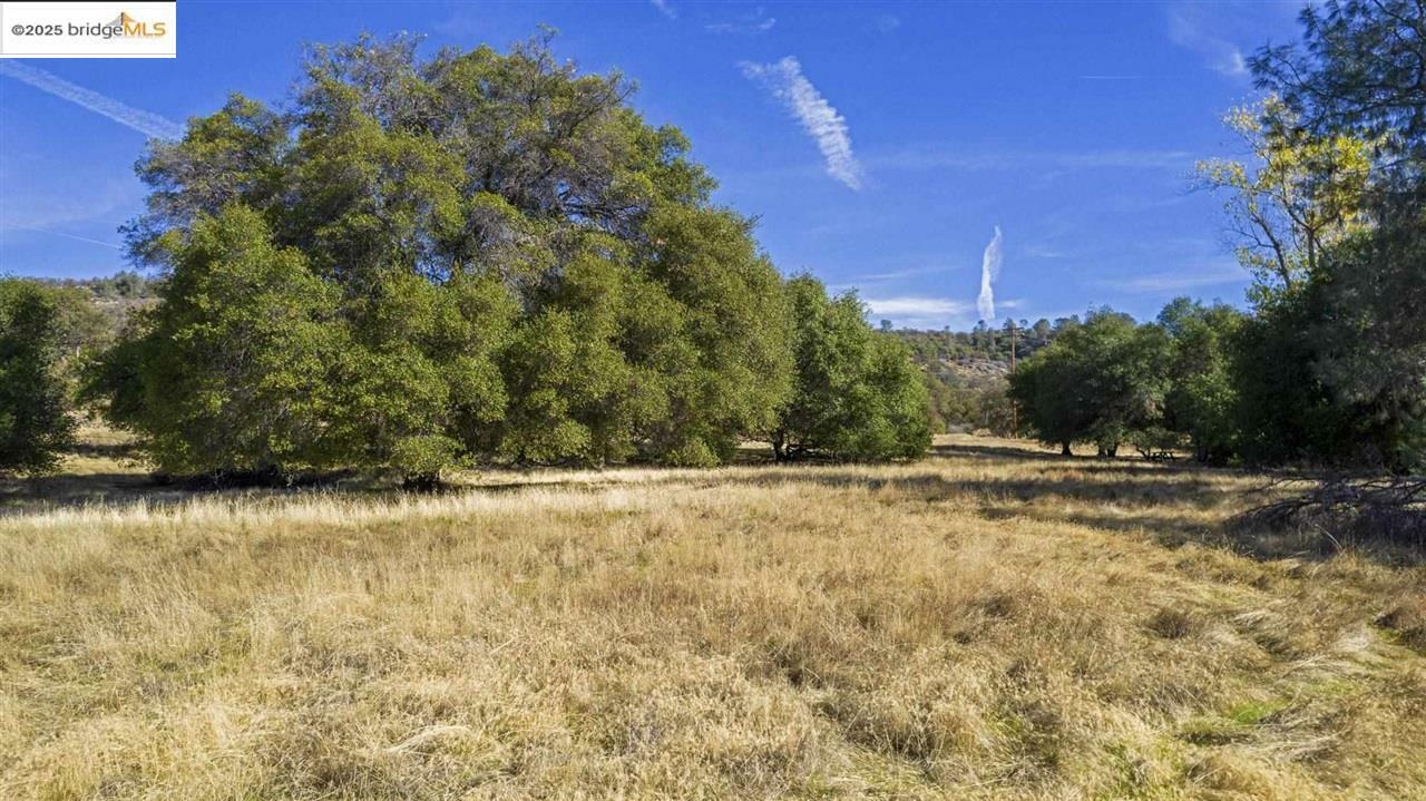 Property Photo: 16275 Moccasin Ranch Parcel 29 CA 95329