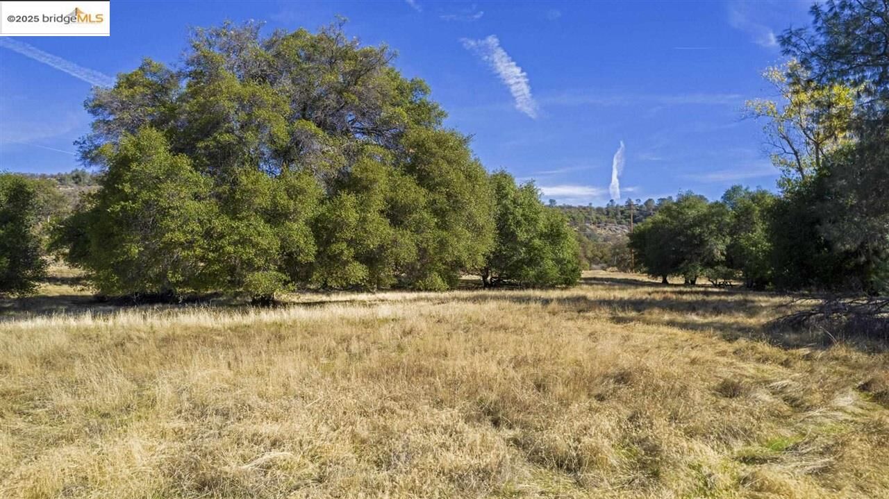 Property Photo:  16275 Moccasin Ranch Parcel 29  CA 95329 