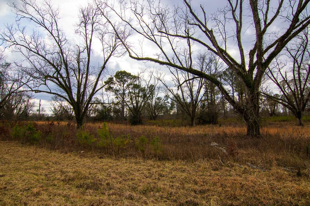 Property Photo:  0 Salem Road  GA 31822 