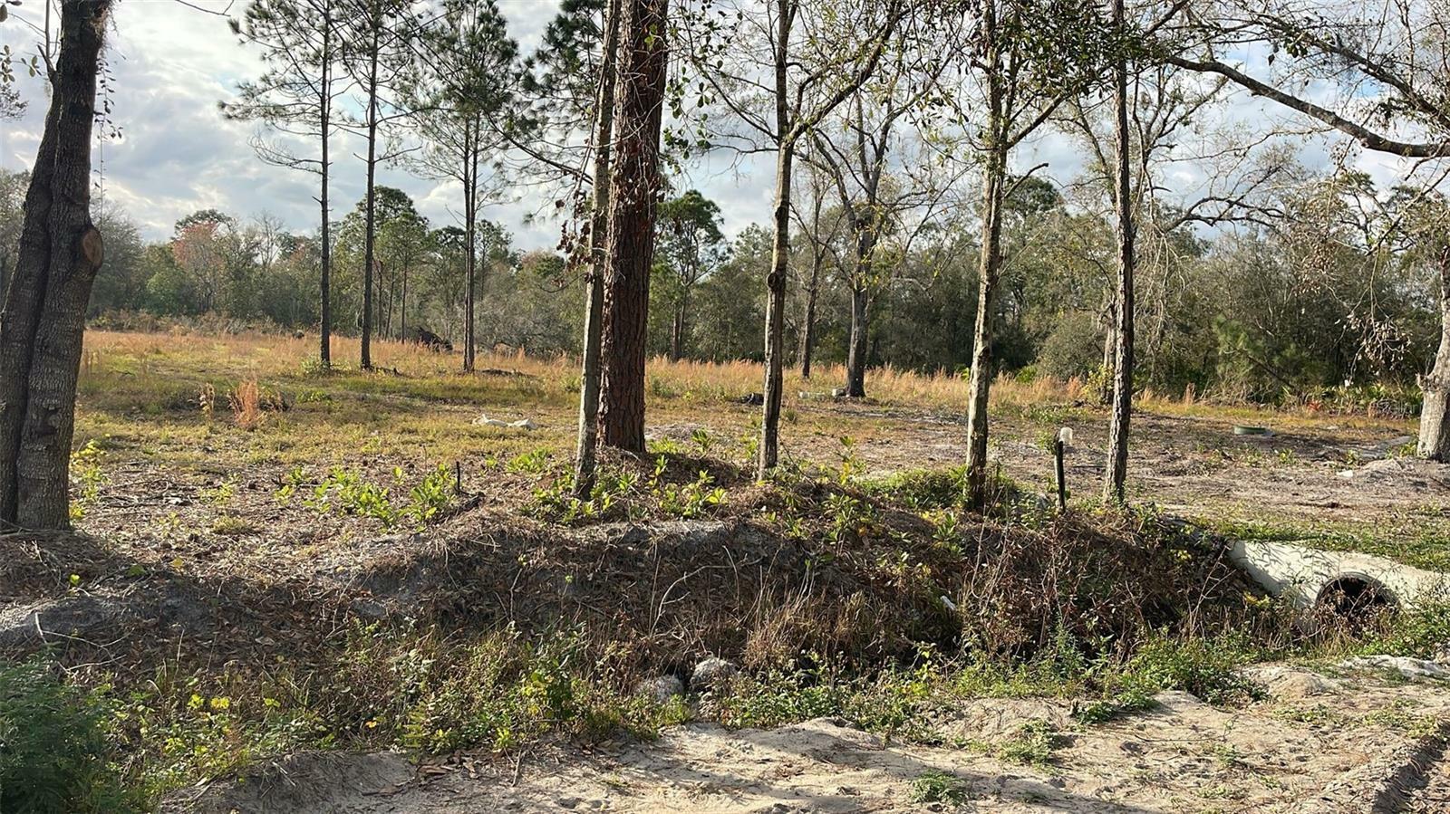 Property Photo:  Kelly Ridge Road  FL 33843 