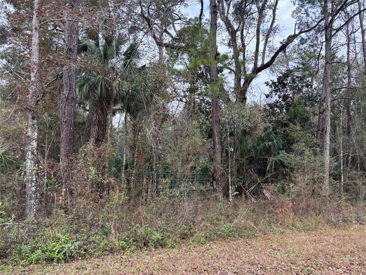 Property Photo:  Lot 3 Carolina Dove Road  FL 34614 
