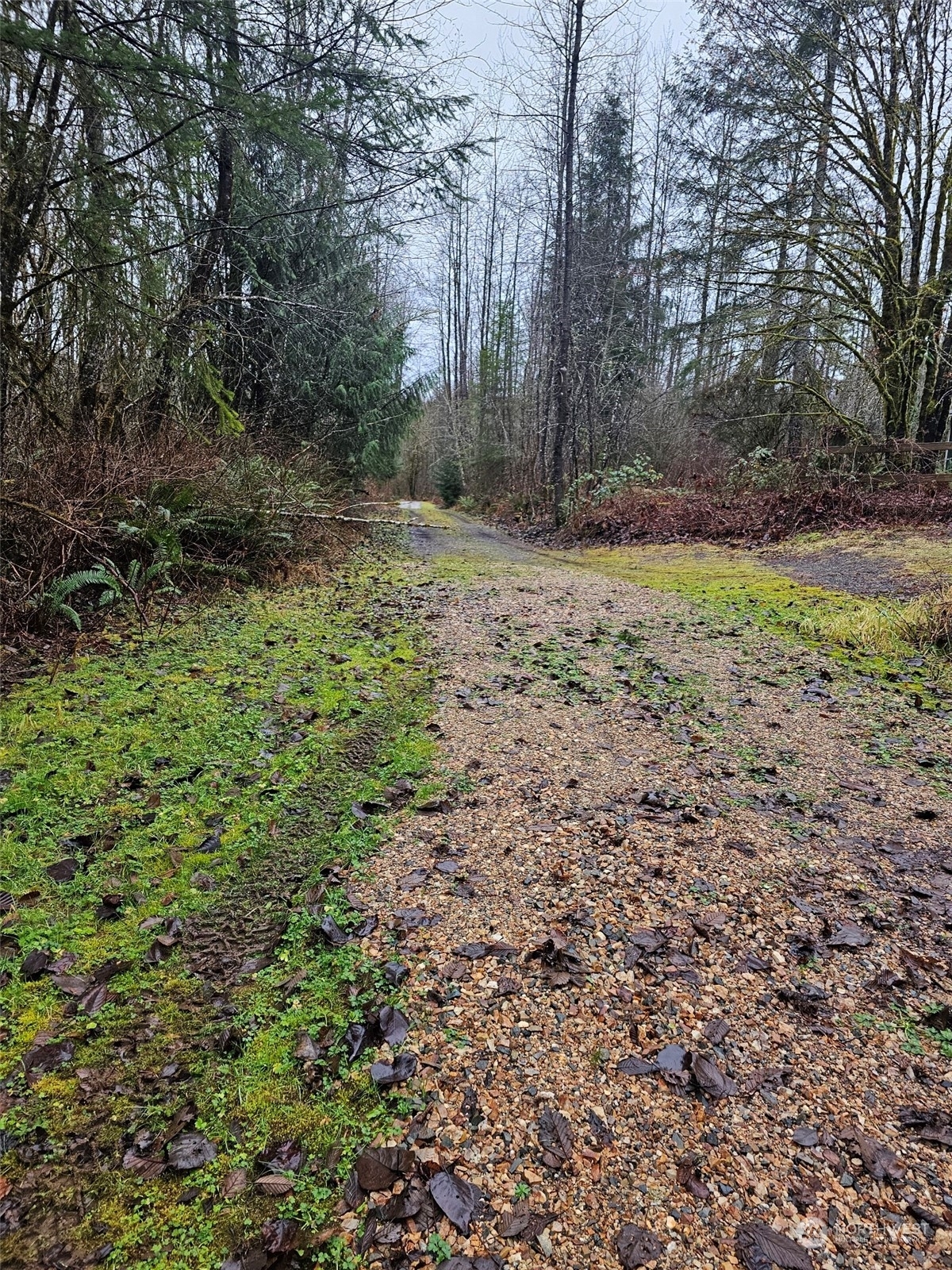 Property Photo:  0 Xxx NE 155th Place  WA 98019 