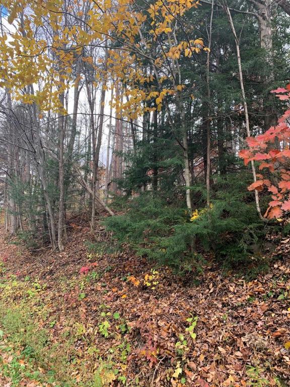 0 0 Townsend Road  Watkins Glen NY 14891 photo