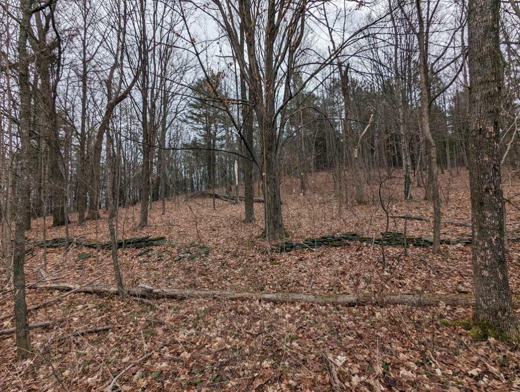 Property Photo: 3117 Smith Road NY 14894