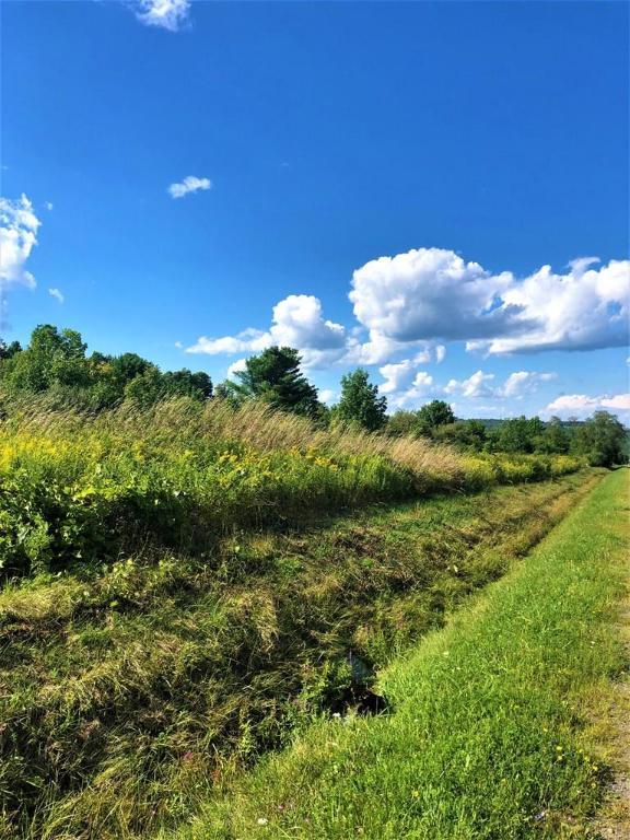 Property Photo: 0 Demunn Road, Lot 4 NY 14812